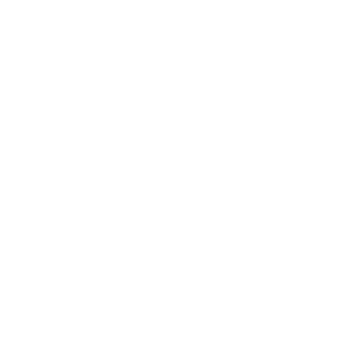 Diagram of plane going around the world.